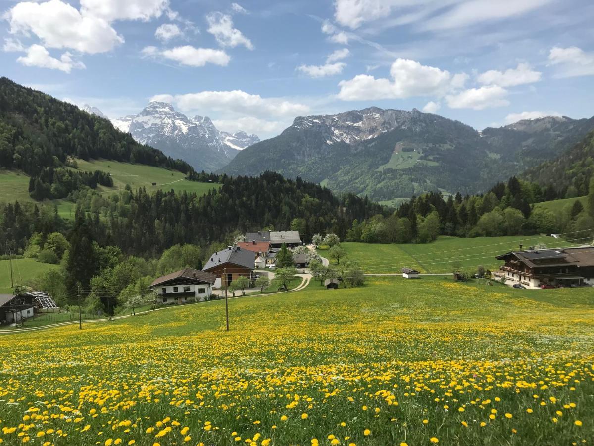 Haus Bergsicht Lofer公寓 外观 照片